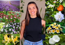 10 Plantas Perfumadas que Você Precisa Ter